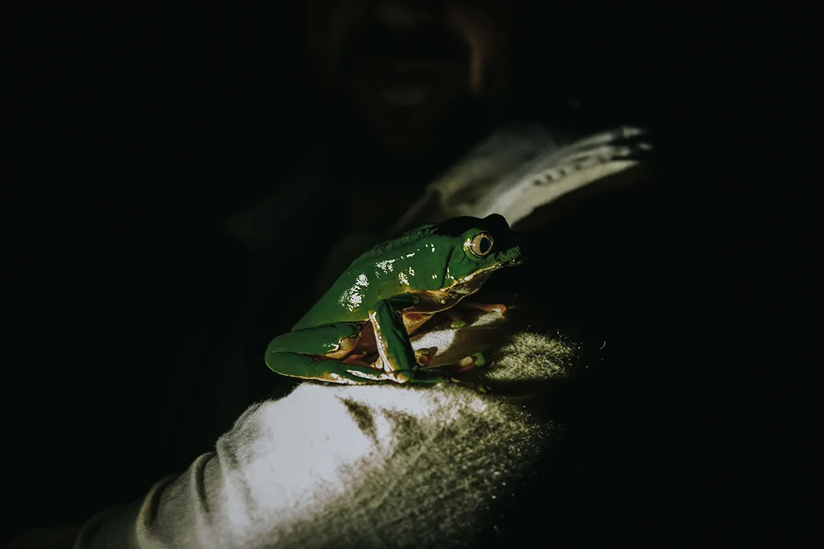 11-dagars ayahuascaretreat i Peru – 18–28 september 2026 | Shipibo-healing och integration