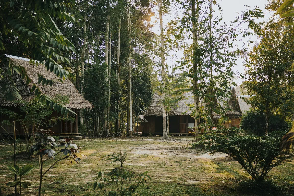 11-dagars ayahuascaretreat i Peru – 18–28 september 2026 | Shipibo-healing och integration