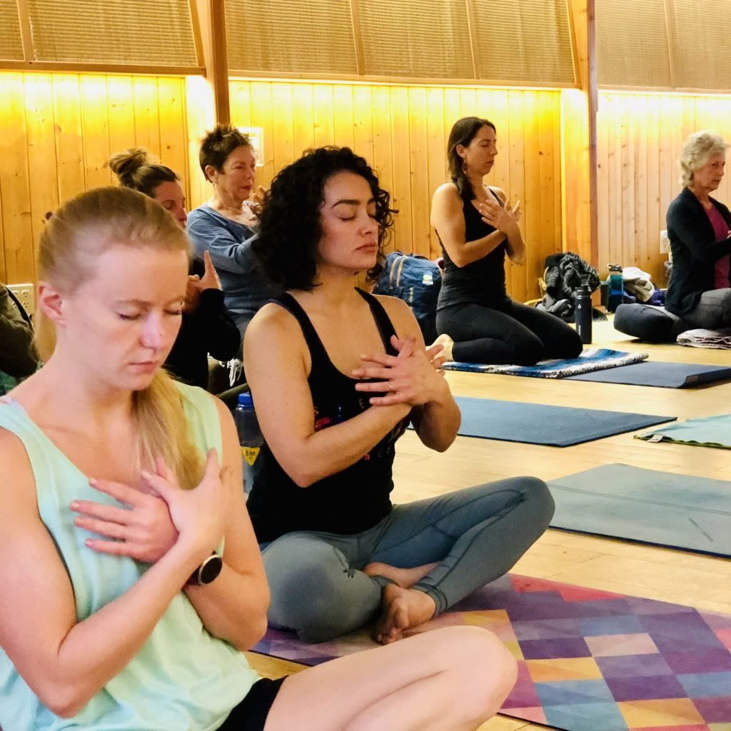 22:a årliga yoga jambalaya