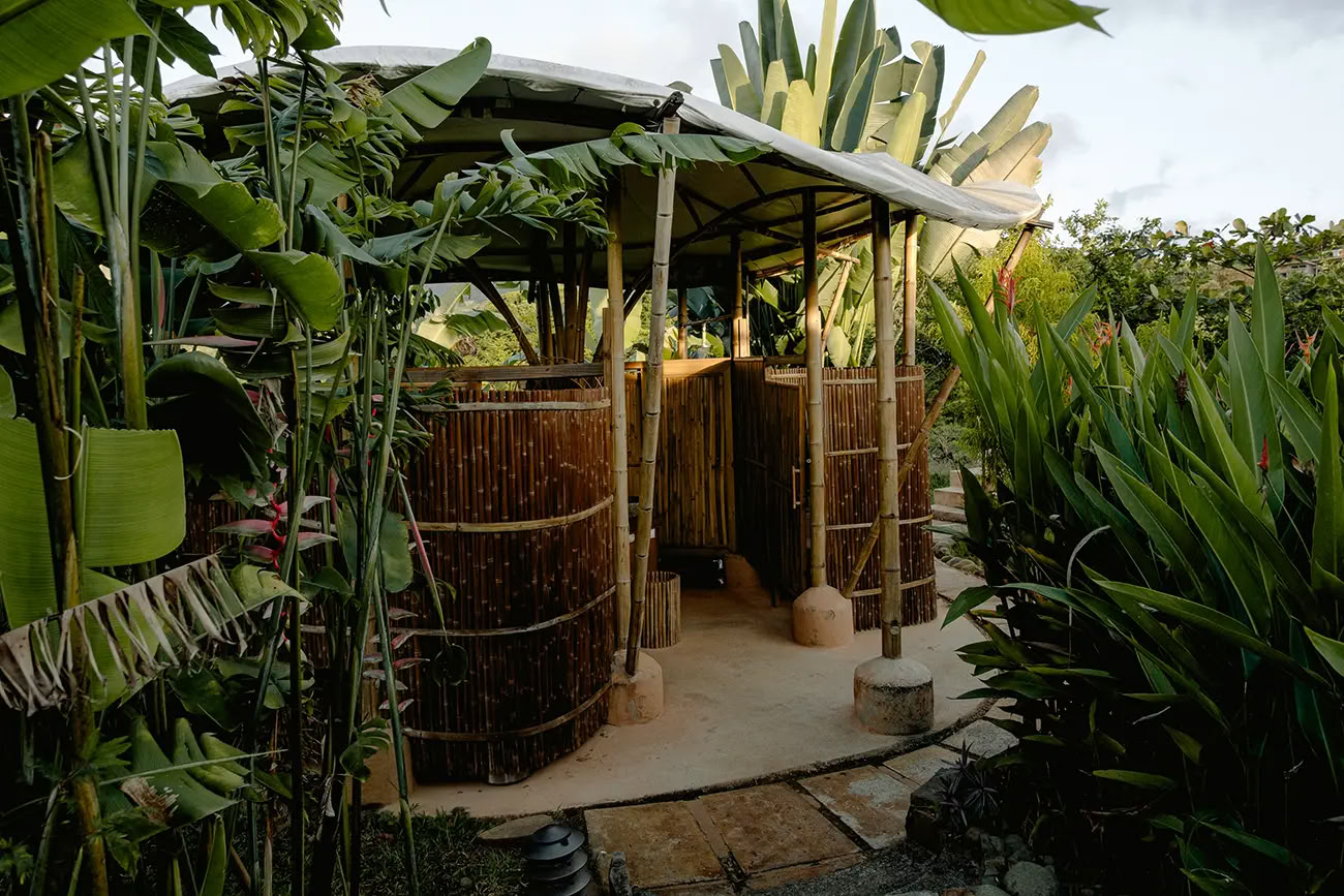 7 nätters ayahuascaretreat