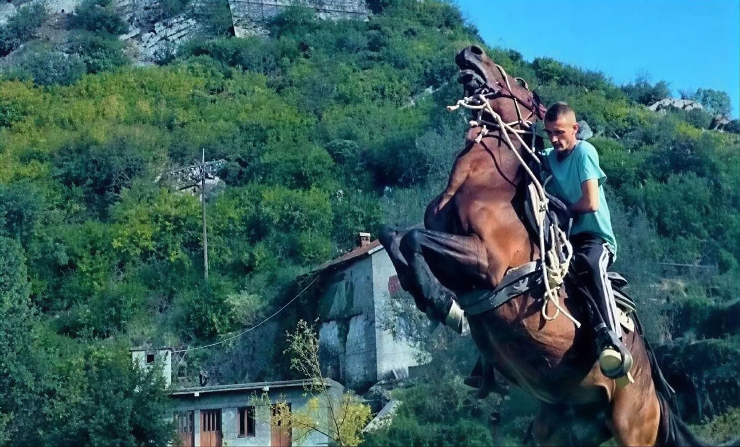 Privat rundtur i kloster i Montenegro