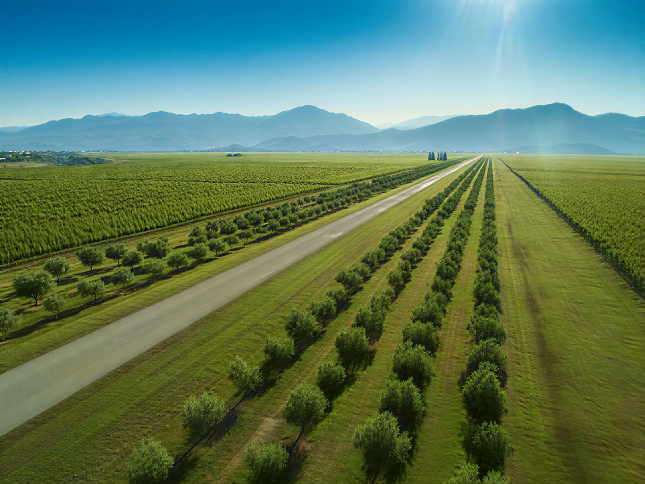 Vinvägsturné i Montenegro
