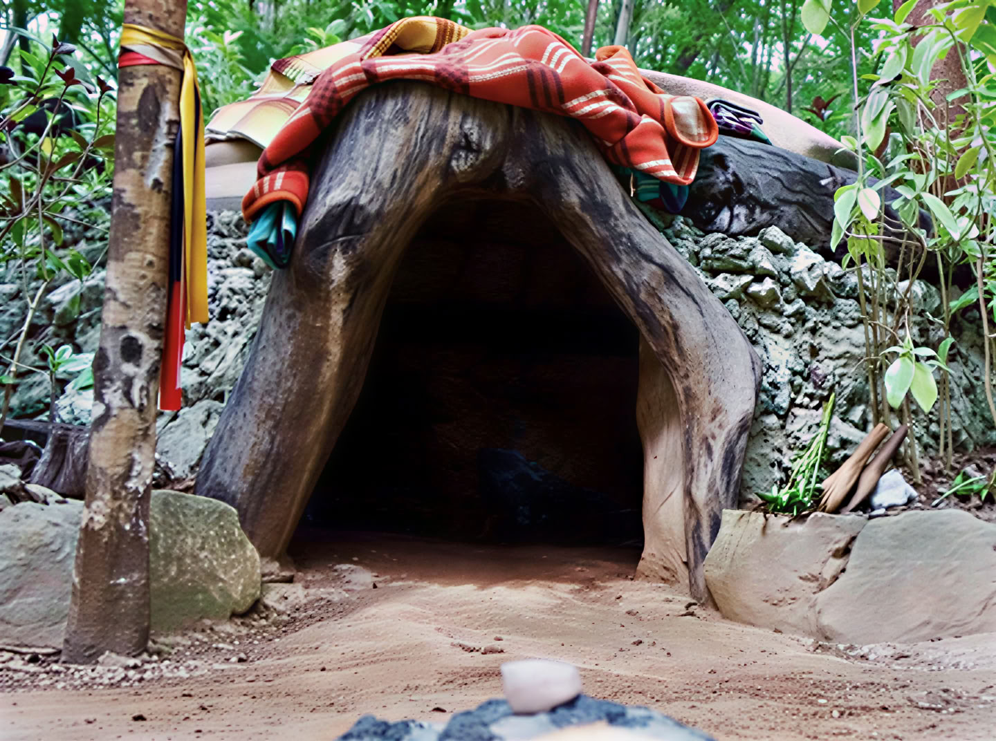 Ayahuasca-retreat i Mexiko