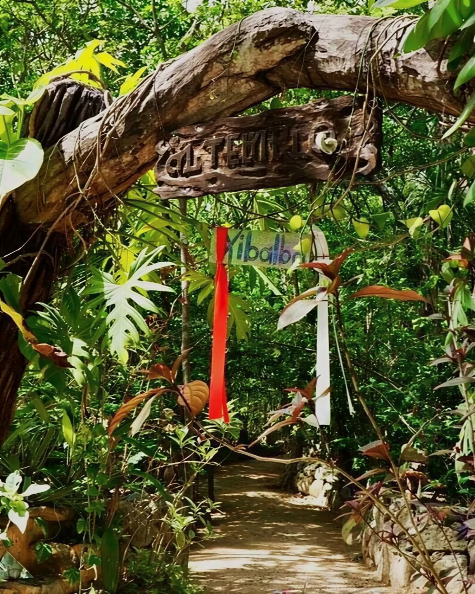 Ayahuasca-retreat i Mexiko