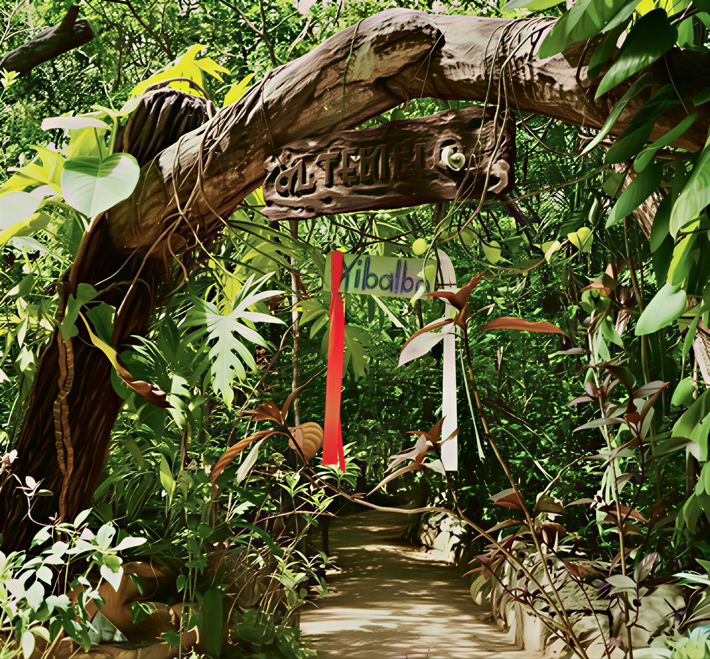Ayahuasca-retreat i Mexiko