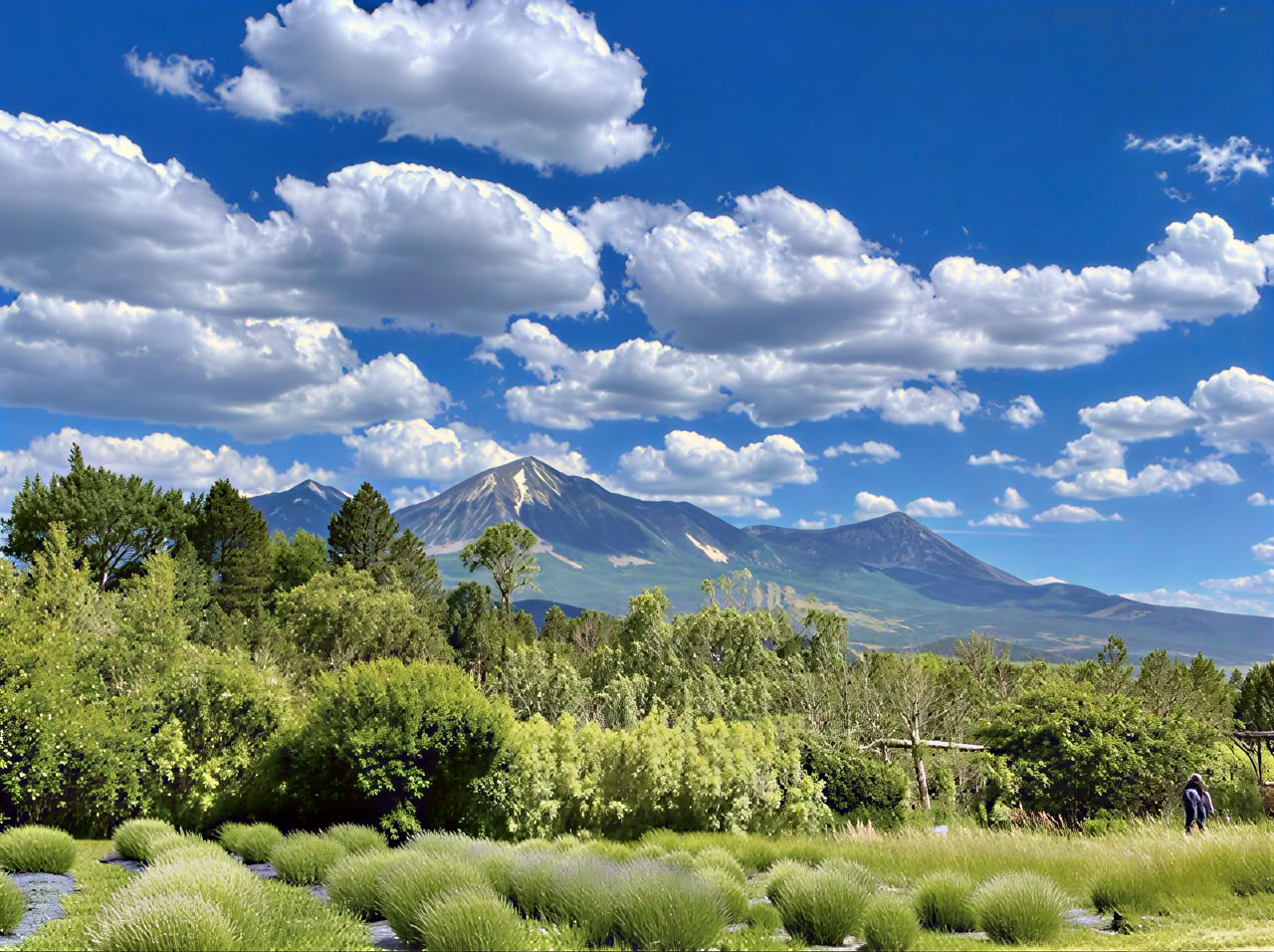 Colorado andningsretreat