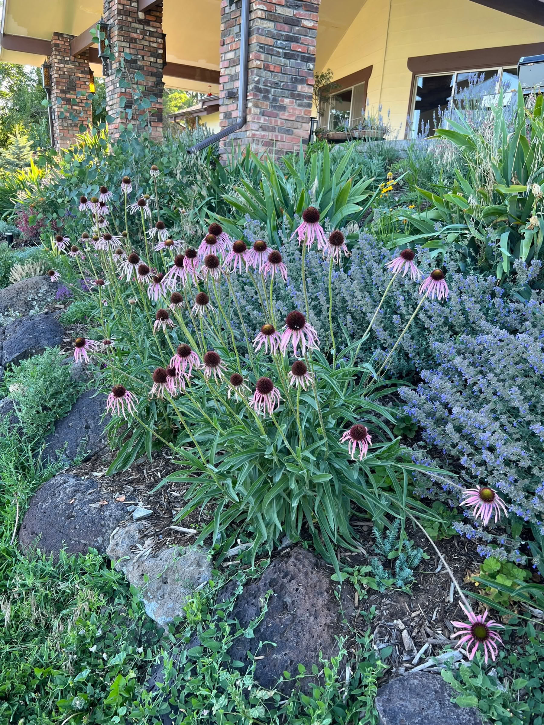 Colorado andningsretreat