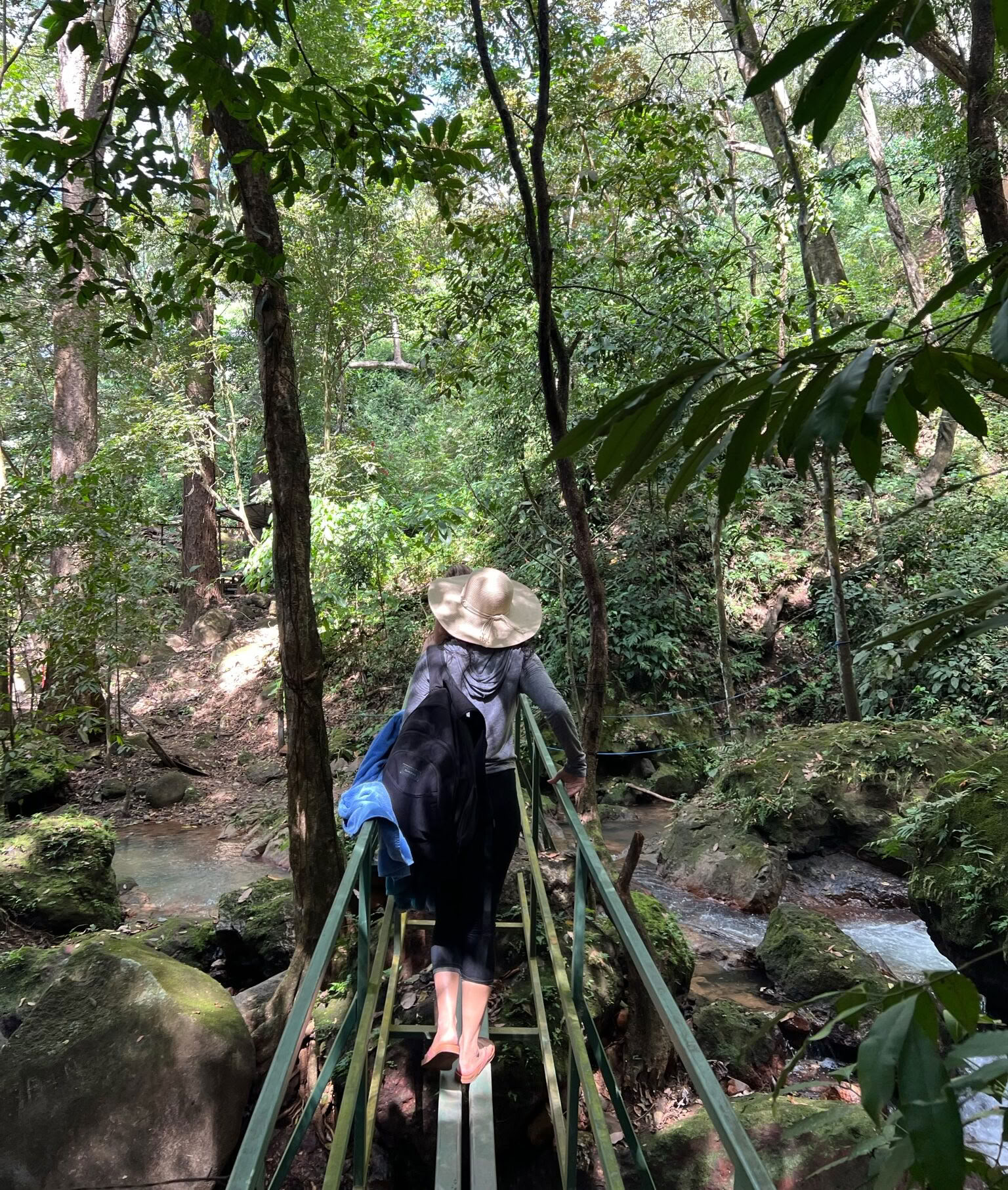 Signaturretreat