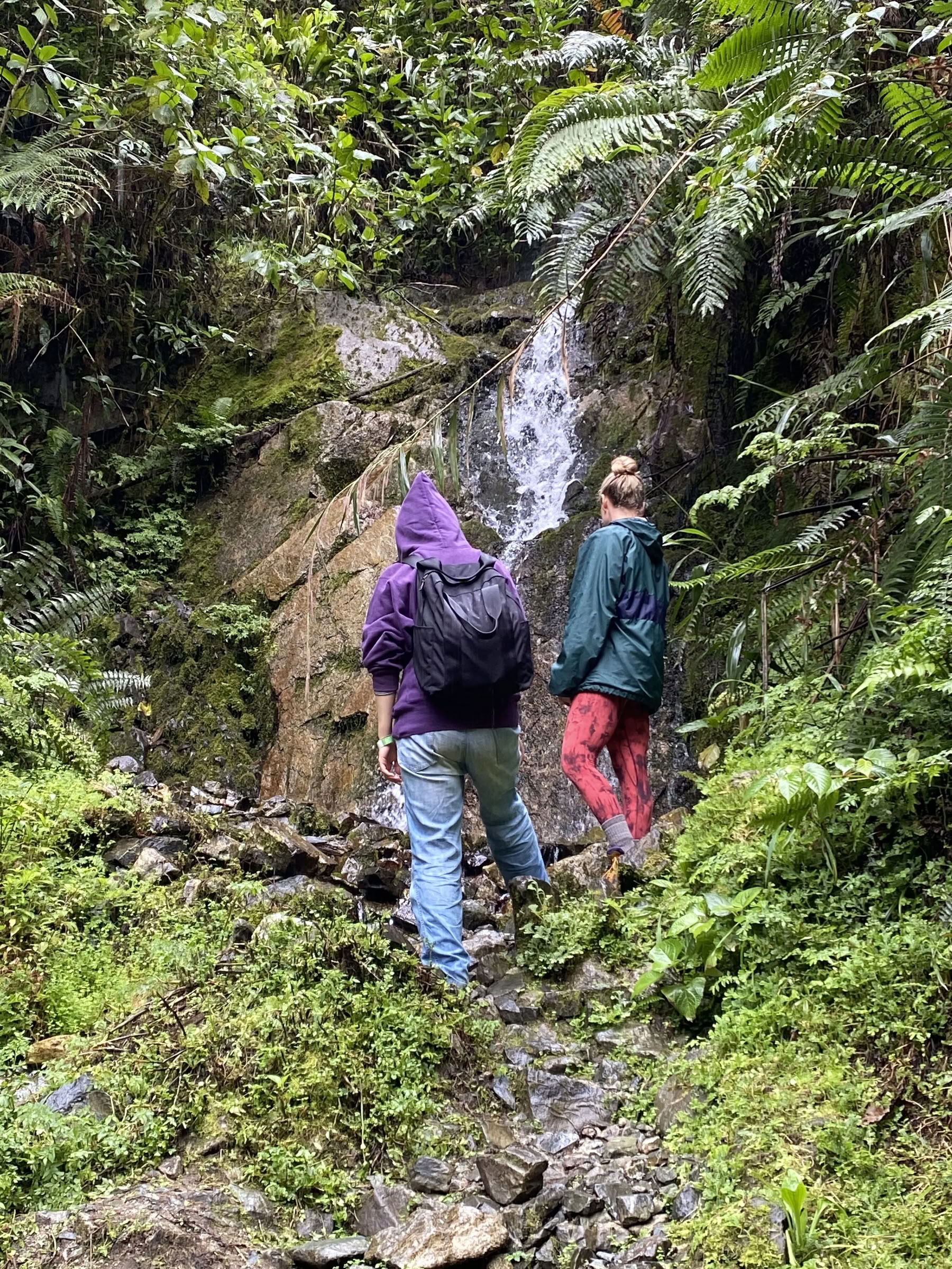 Kvinnors ayahuasca-retreat