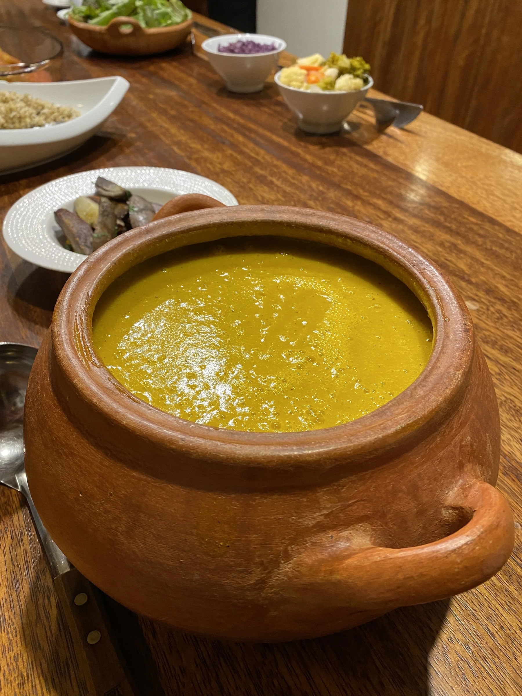 Kvinnors ayahuasca-retreat