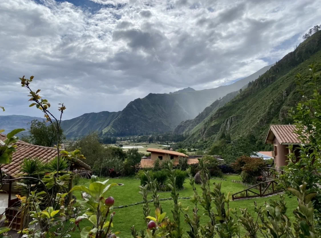 Kvinnors ayahuasca-retreat