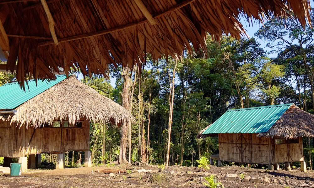 Ayahuasca-initieringsretreat: 7- och 14-dagars – 10–31 januari 2027