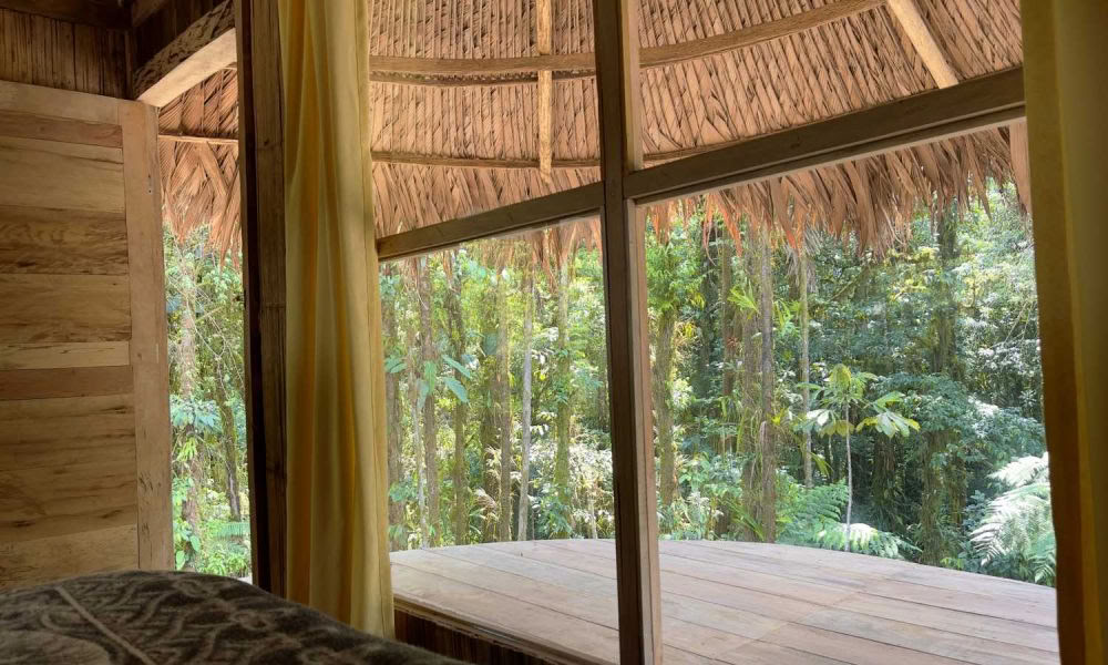Ayahuasca-initieringsretreat: 7- och 14-dagars – 10–31 januari 2027
