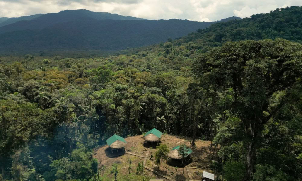 Ayahuasca initieringsretreat: 7- och 14-dagars – 3–24 februari 2027
