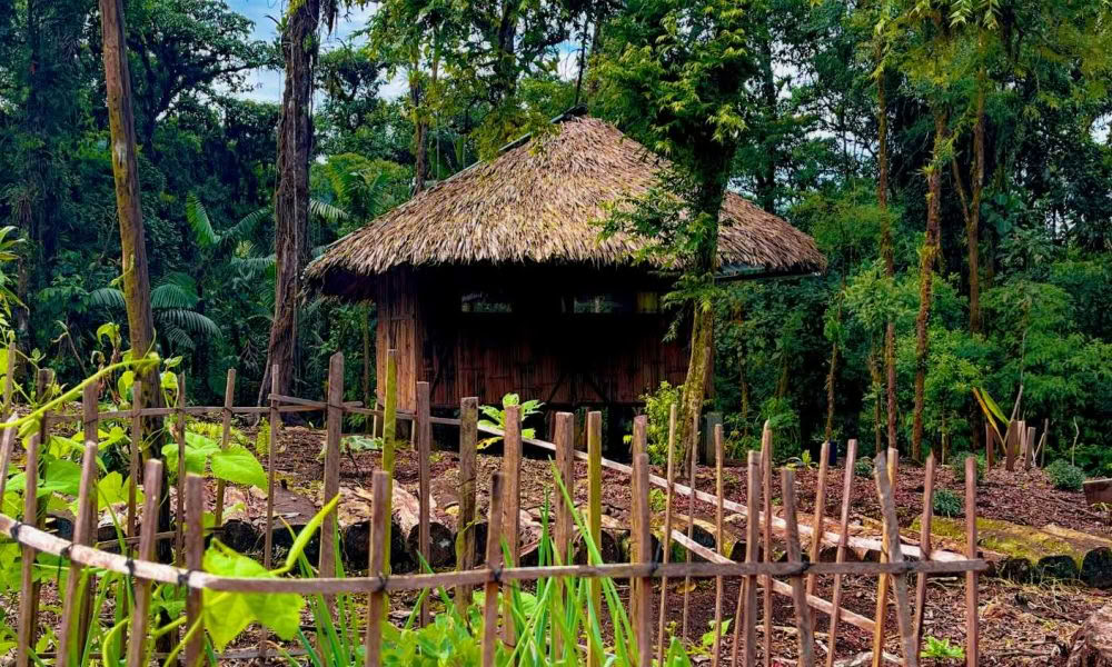 Ayahuasca initieringsretreat: 7- och 14-dagars – 3–24 februari 2027