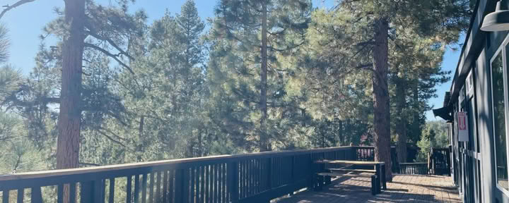 Att odla vänlighet – höstretreat: en kvinnas resa genom mindfulness, självmedkänsla, skrivande och rörelse