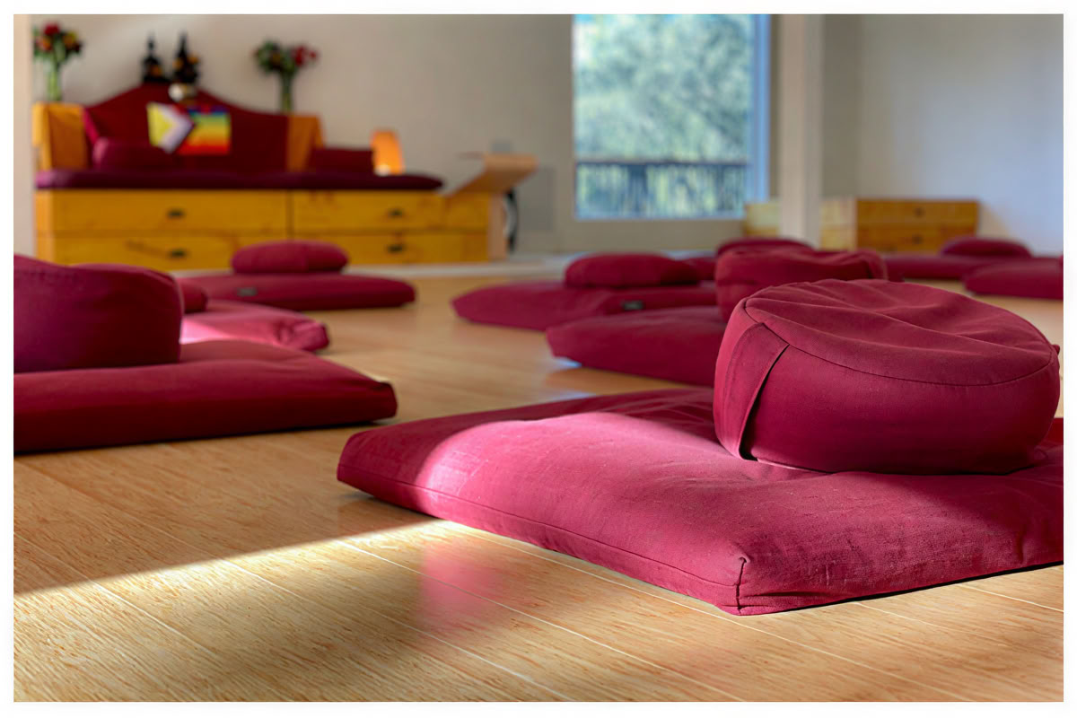 Sakta ner, öppna dig, hör hemma: meditationsretreat med insikt och kärleksfull vänlighet