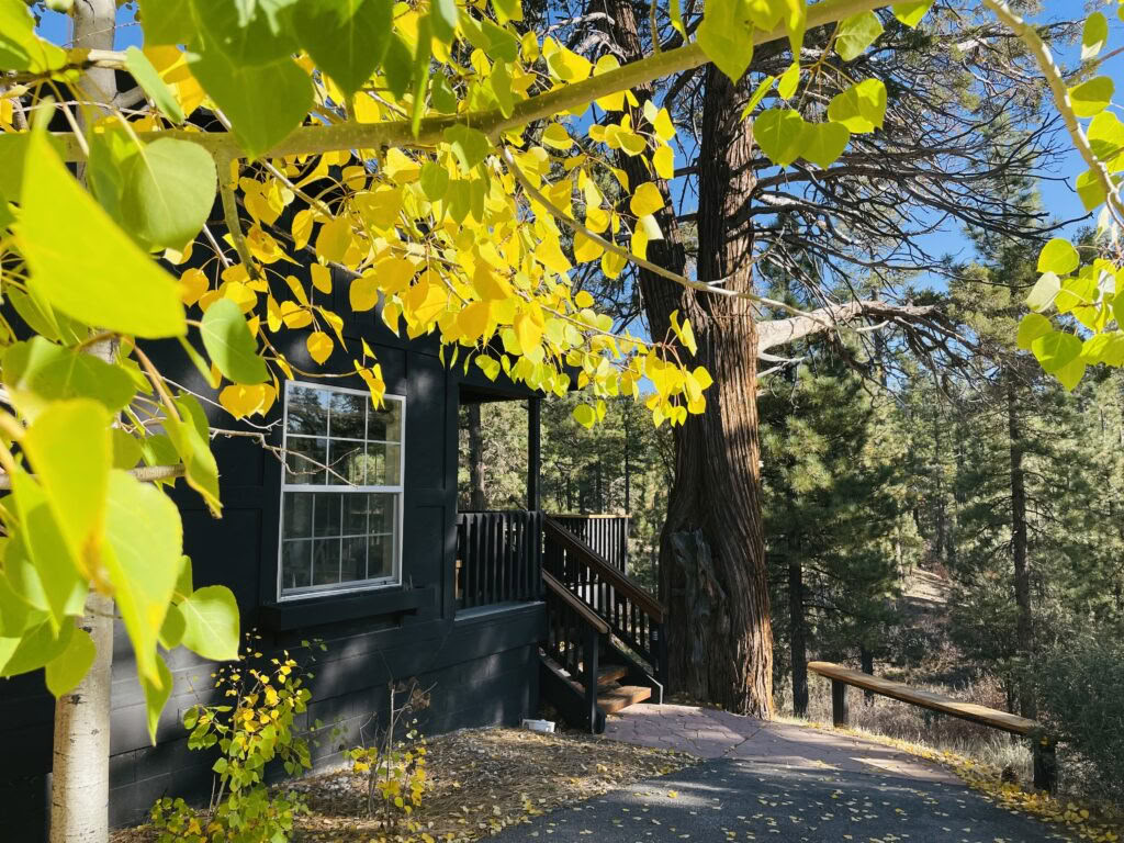 Sakta ner, öppna dig, hör hemma: meditationsretreat med insikt och kärleksfull vänlighet