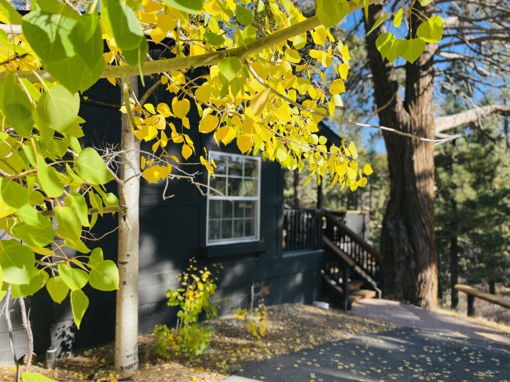 Vila i enkelhet