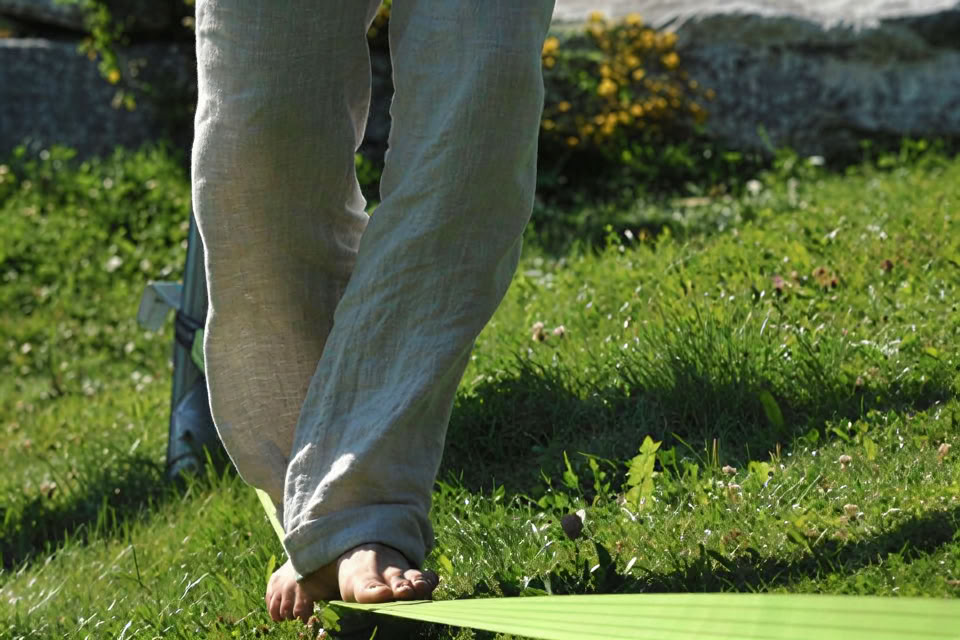 Qigong höstlov 2026 ; Martin Brodmann