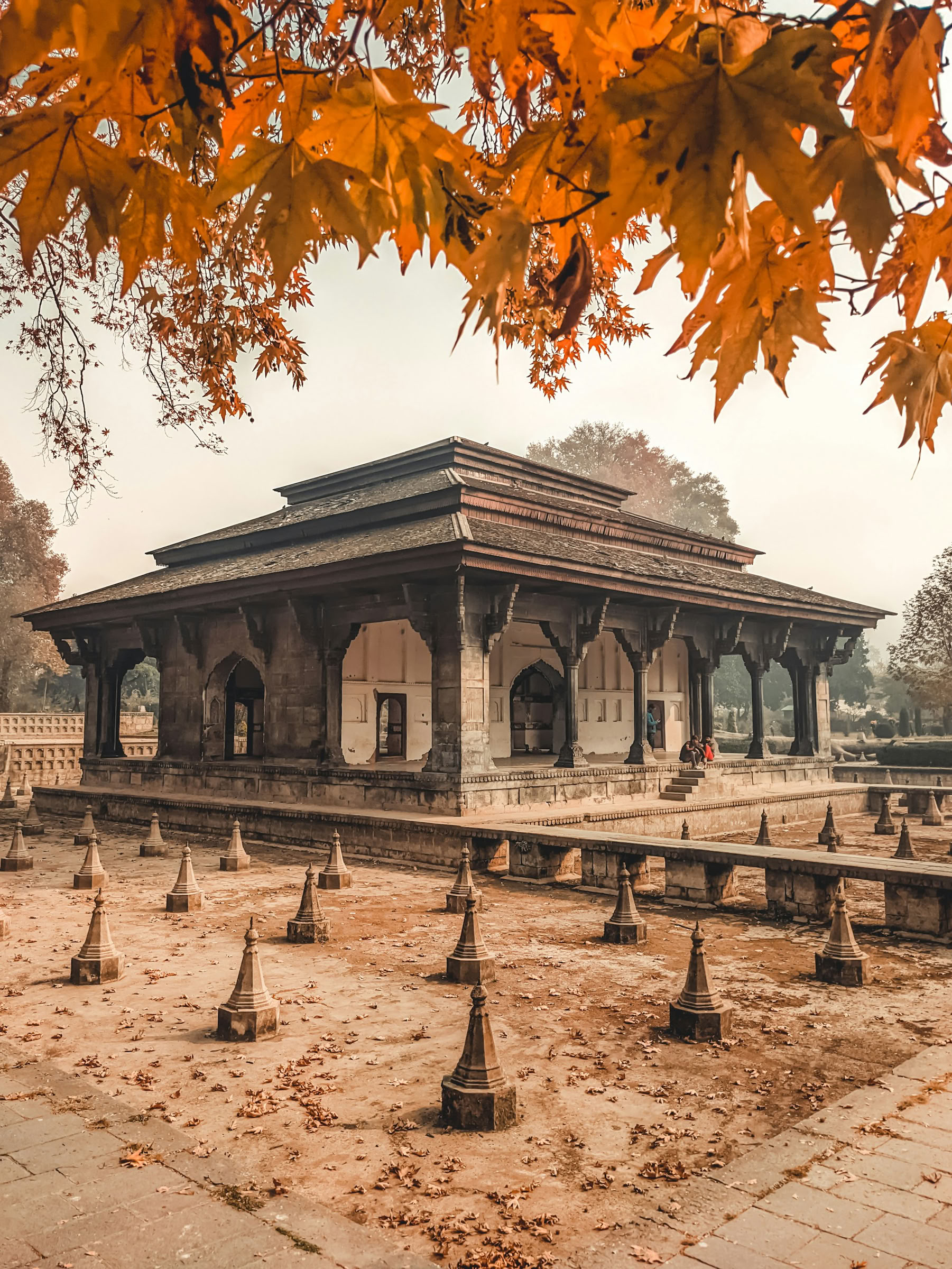 Dal Dreams & Mountain Days: En signaturupplevelse i Kashmir