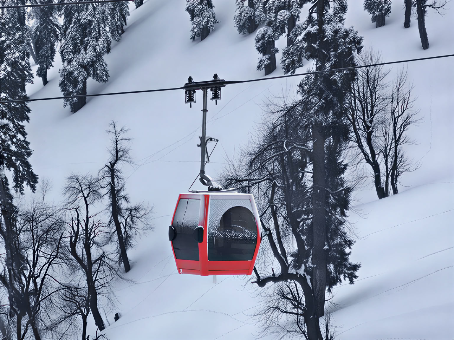Dal Dreams & Mountain Days: En signaturupplevelse i Kashmir