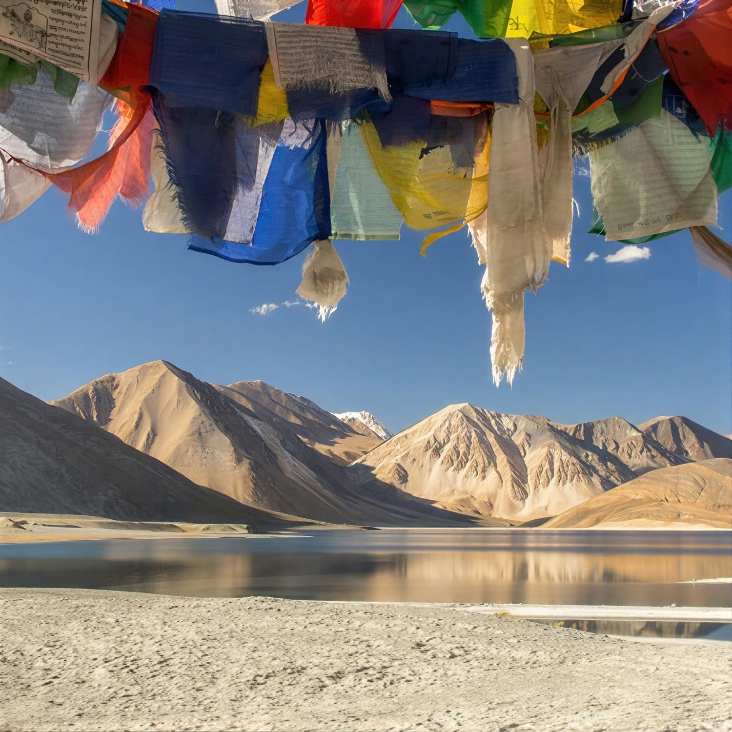 Från paradiset till högplatån: bilresa från Kashmir till Ladakh