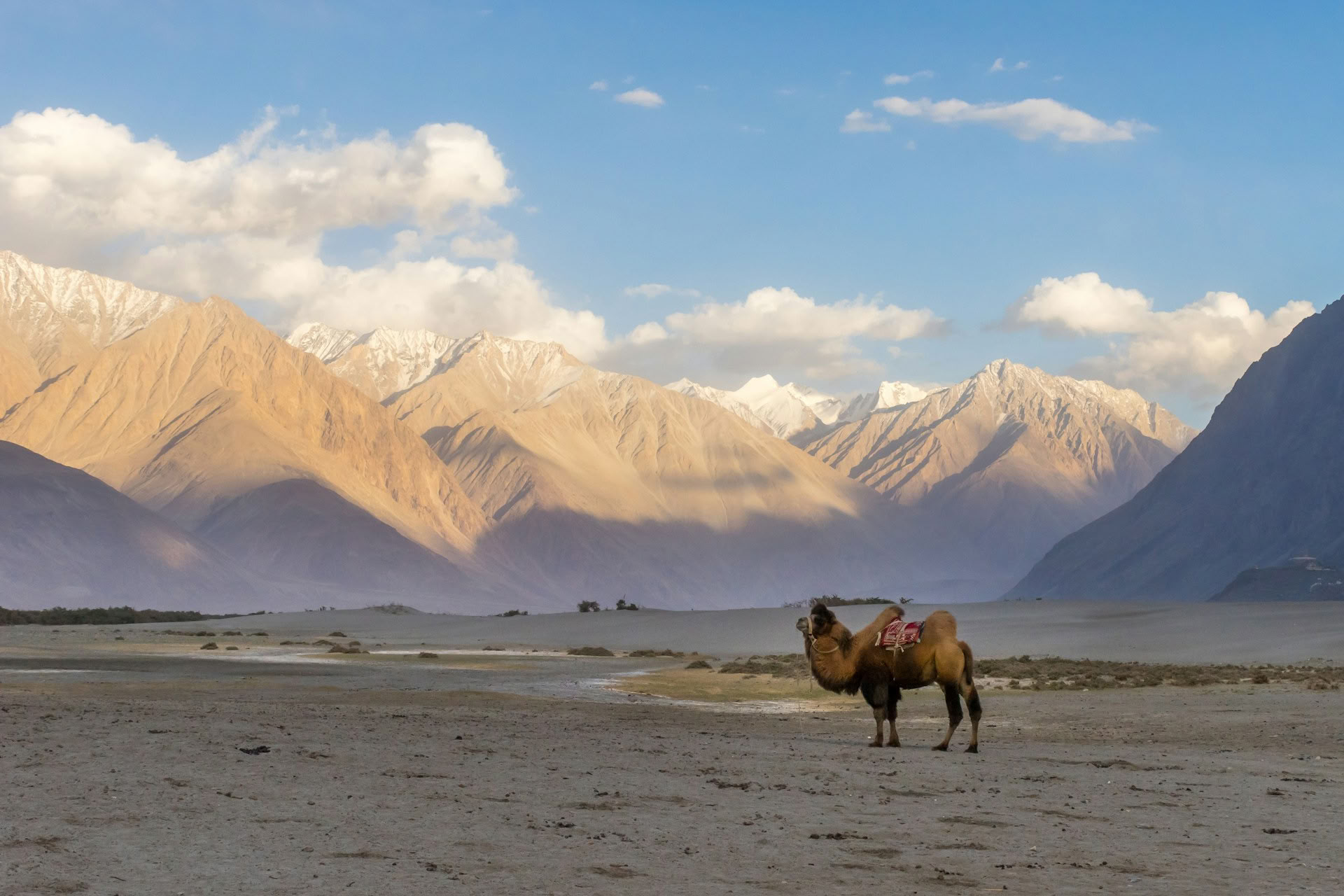 Från paradiset till högplatån: bilresa från Kashmir till Ladakh
