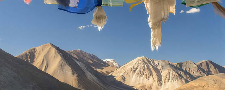 Från paradiset till högplatån: bilresa från Kashmir till Ladakh