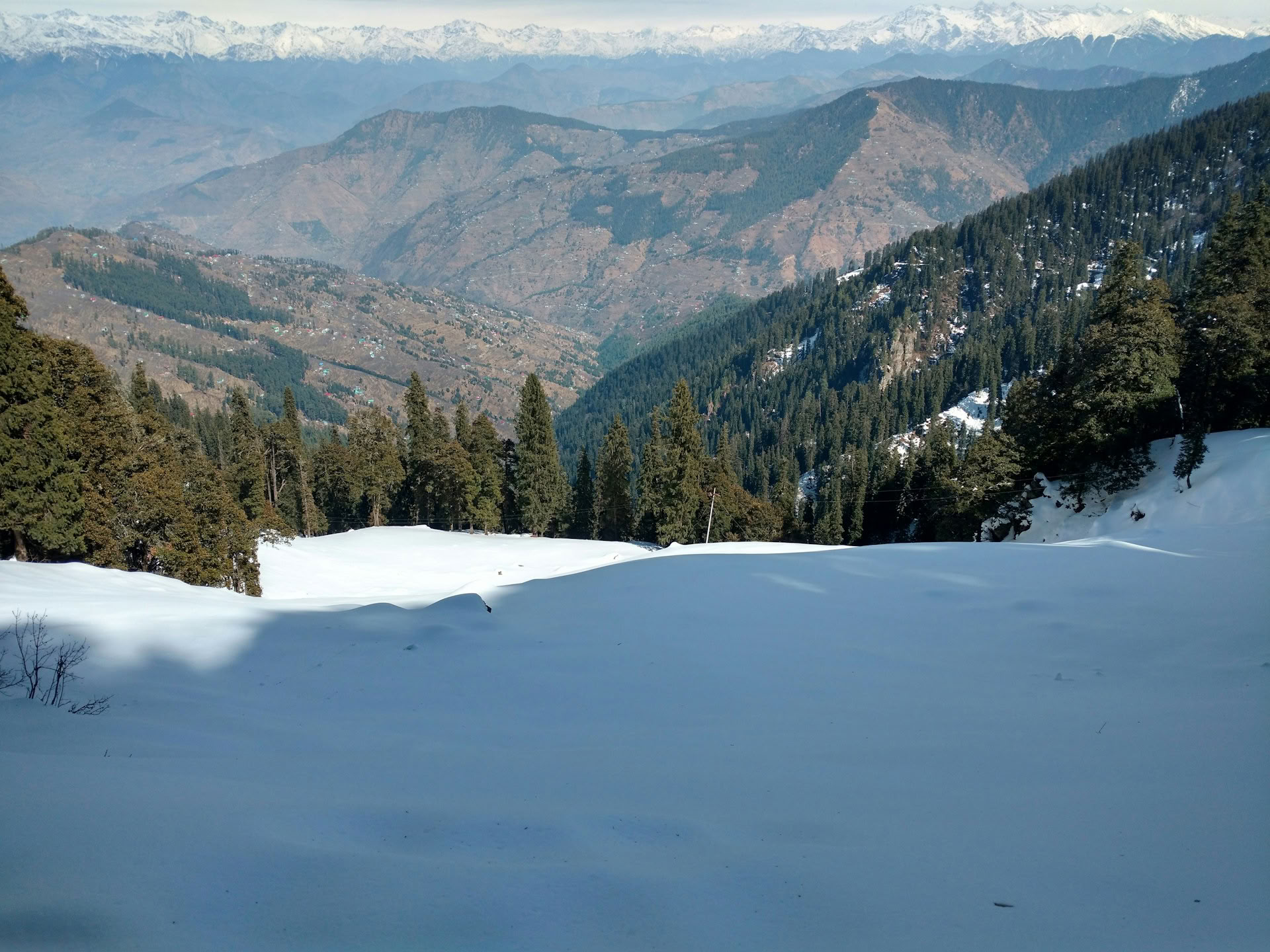 Från fruktodlingar till skogsstigar: Thanedar, Sojha och Tirthan – en långsam himalayisk tillflykt