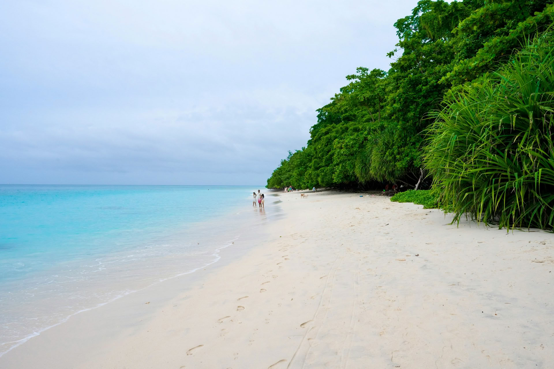 Azurre Andaman-utflykt: Port Blair- och Havelock-retreat