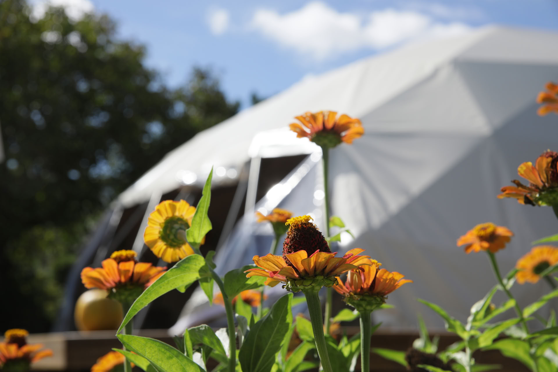 4-dagars tyst retreat i blomning