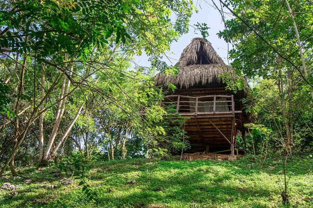 Helig ayahuasca-retreat i Santa Marta, Colombia