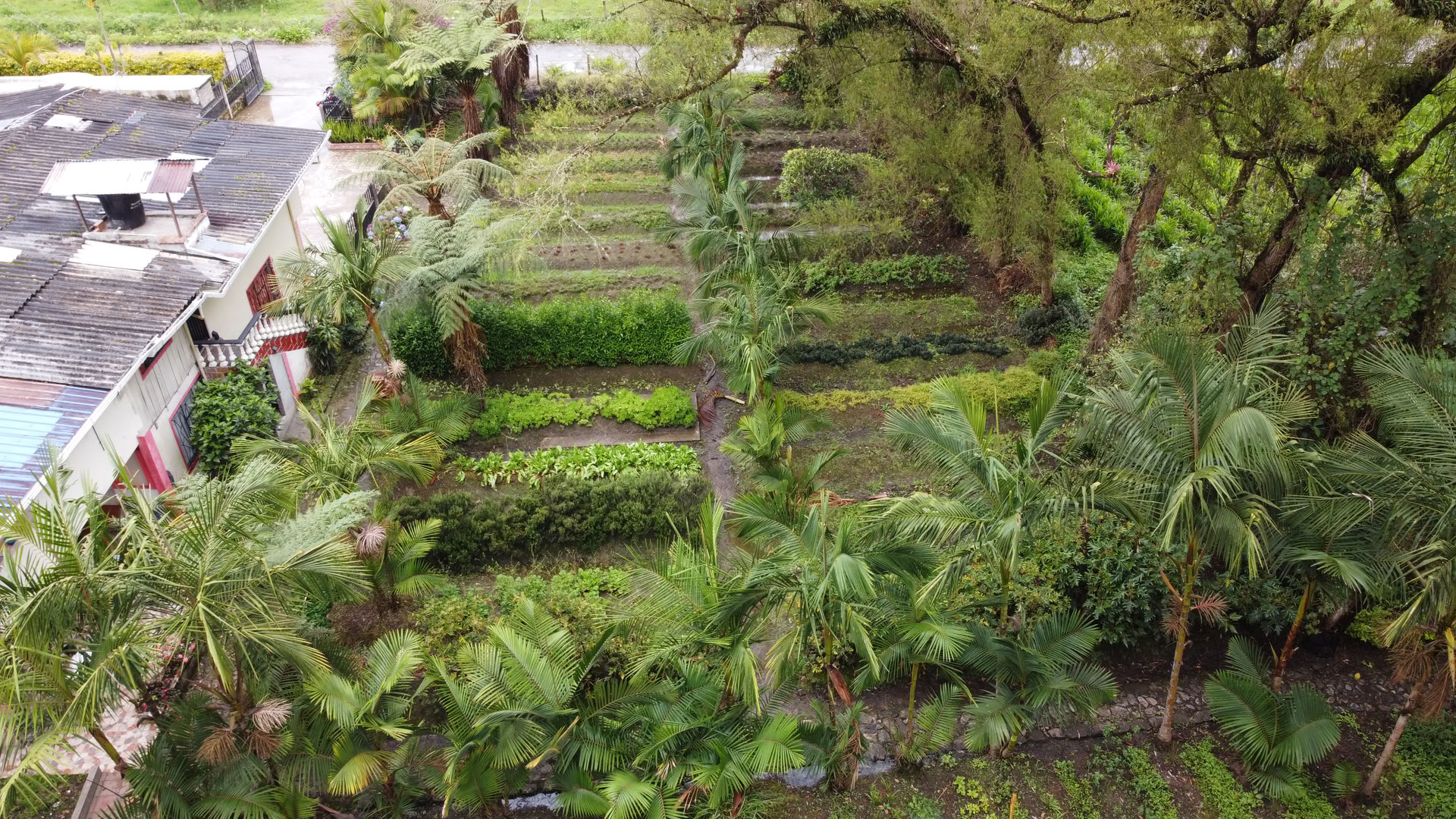 Helig ayahuasca-retreat i Santa Marta, Colombia