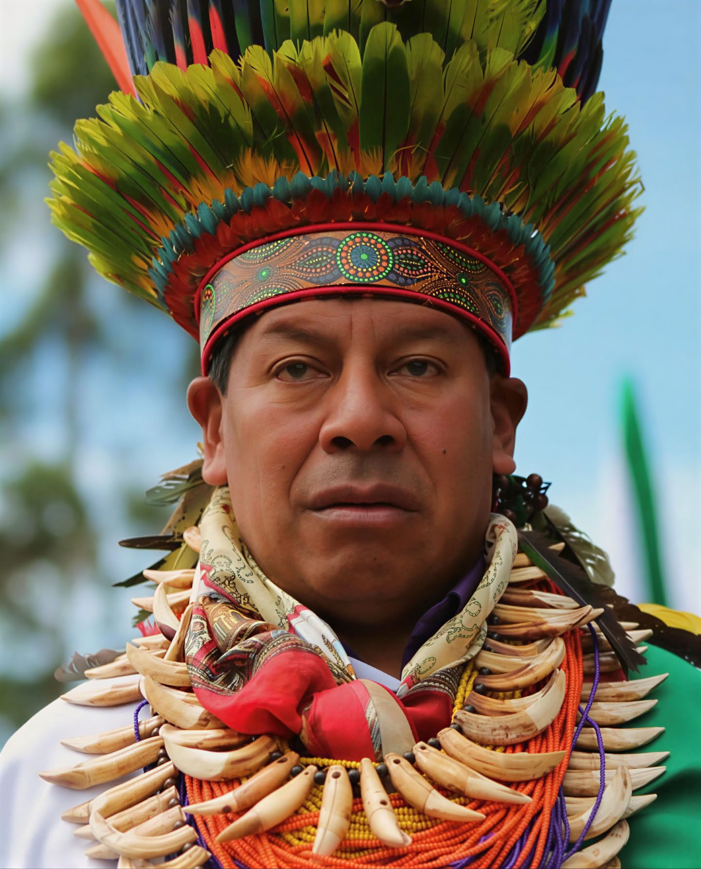 Helig ayahuasca-retreat i Santa Marta, Colombia