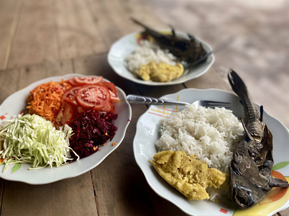 Mästardiet och växtandemedicin