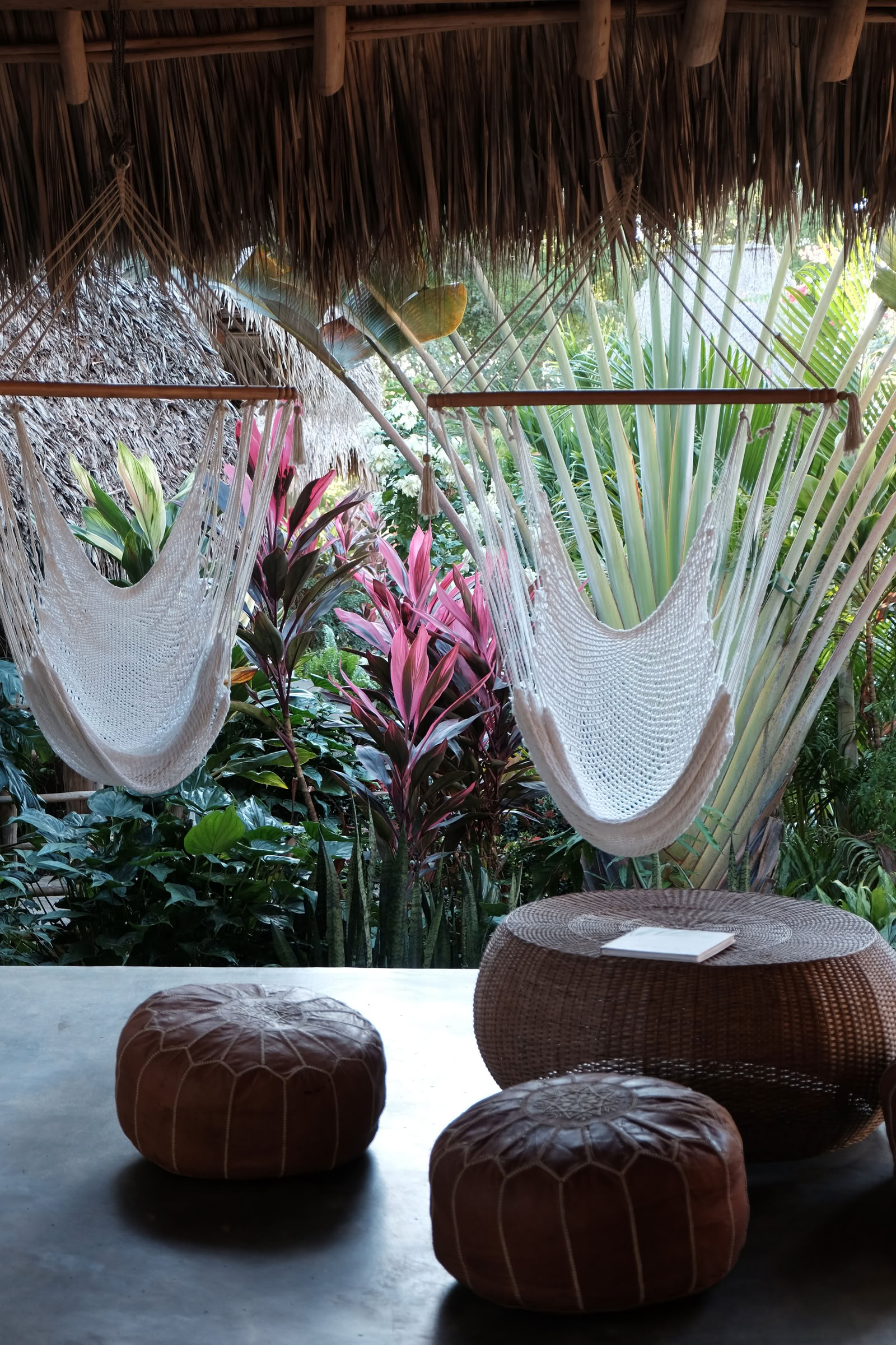 Vild yogaretreat i Nicaragua