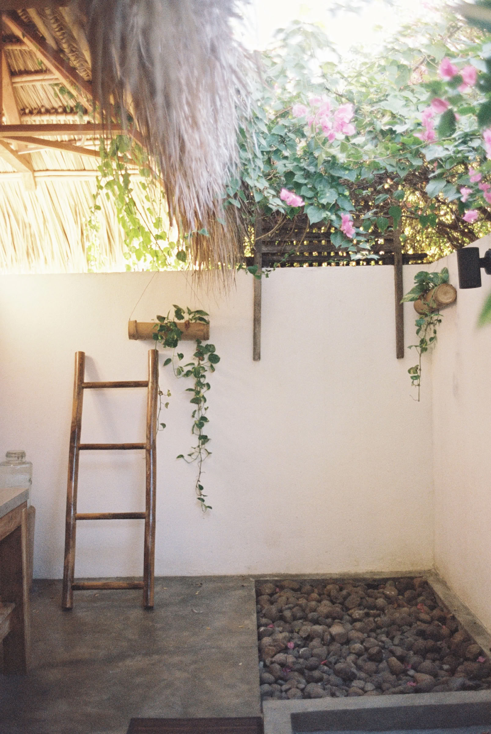 Vild yogaretreat i Nicaragua