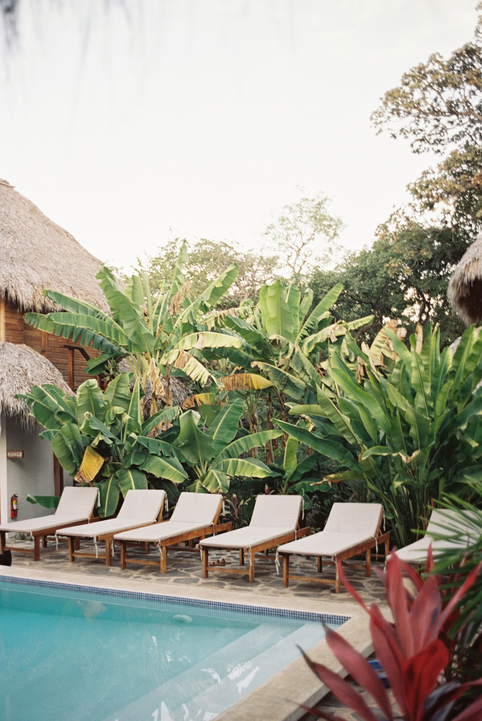 Vild yogaretreat i Nicaragua