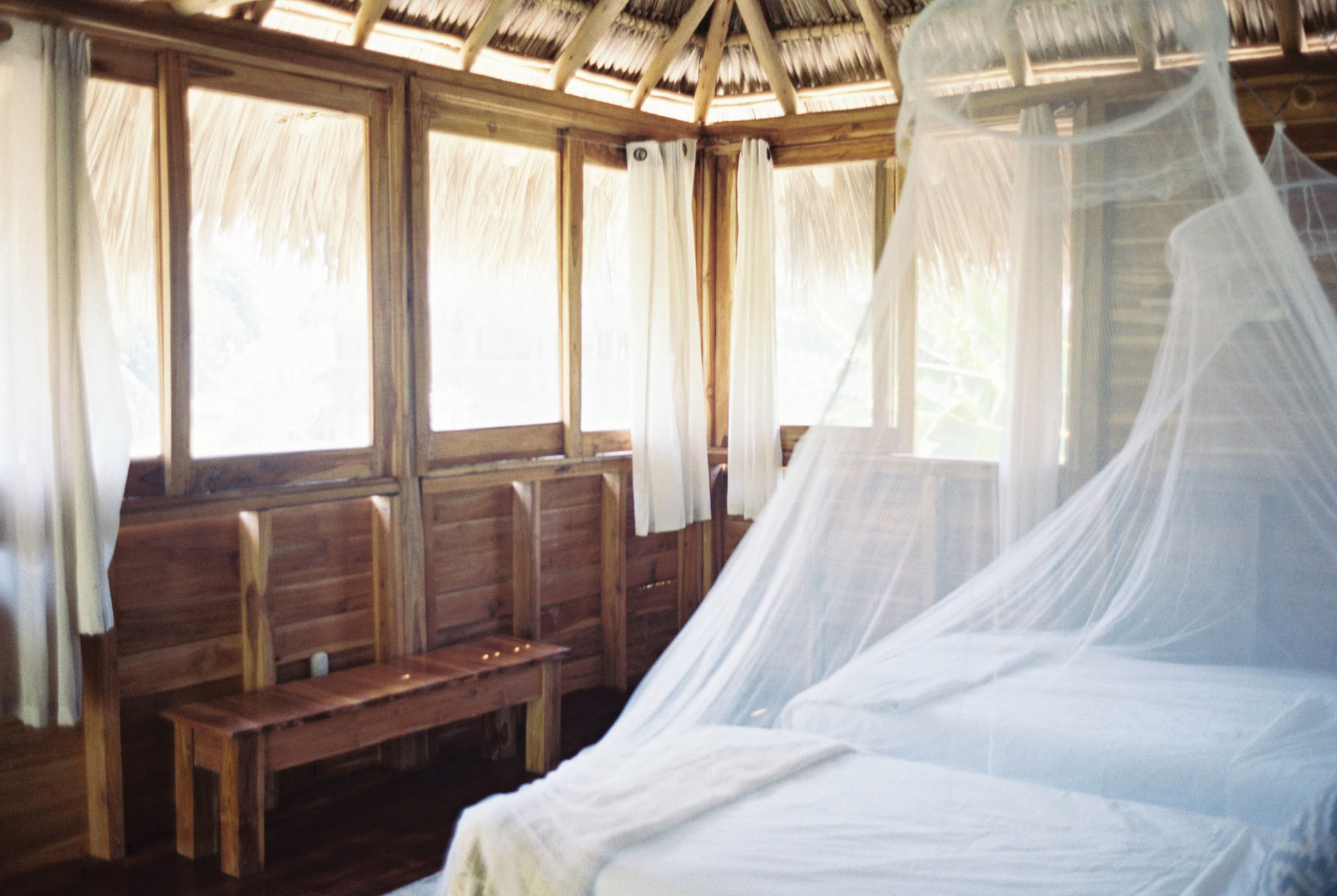 Vild yogaretreat i Nicaragua
