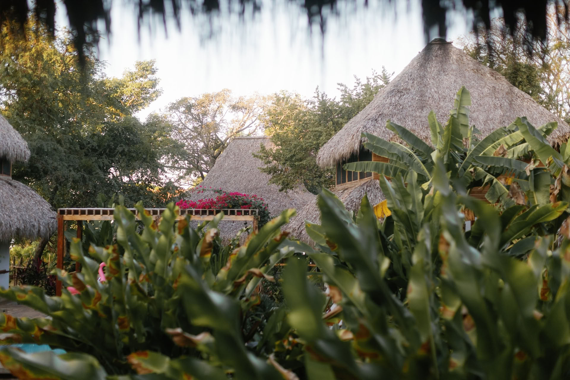 Vild yogaretreat i Nicaragua