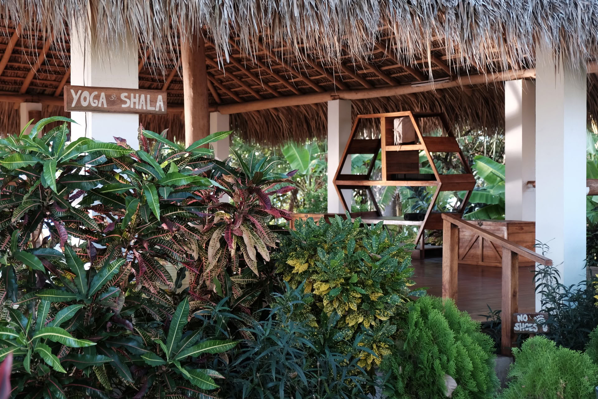 Vild yogaretreat i Nicaragua