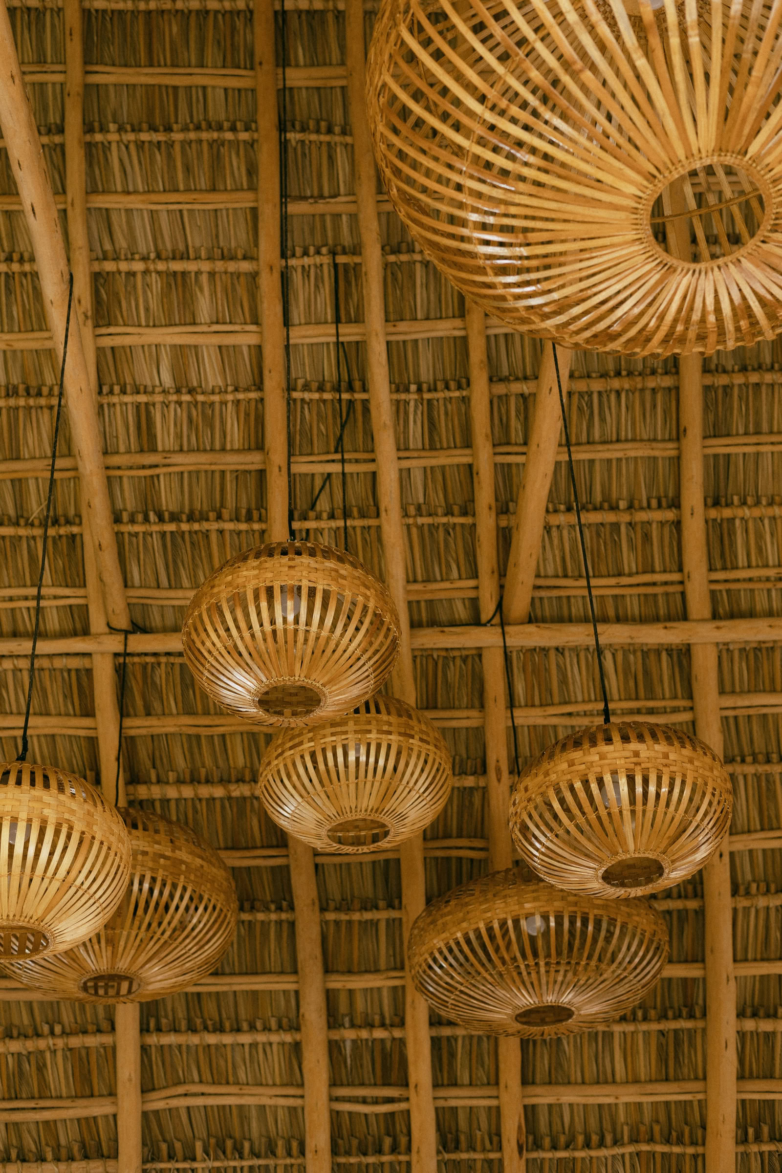 Vild yogaretreat i Nicaragua