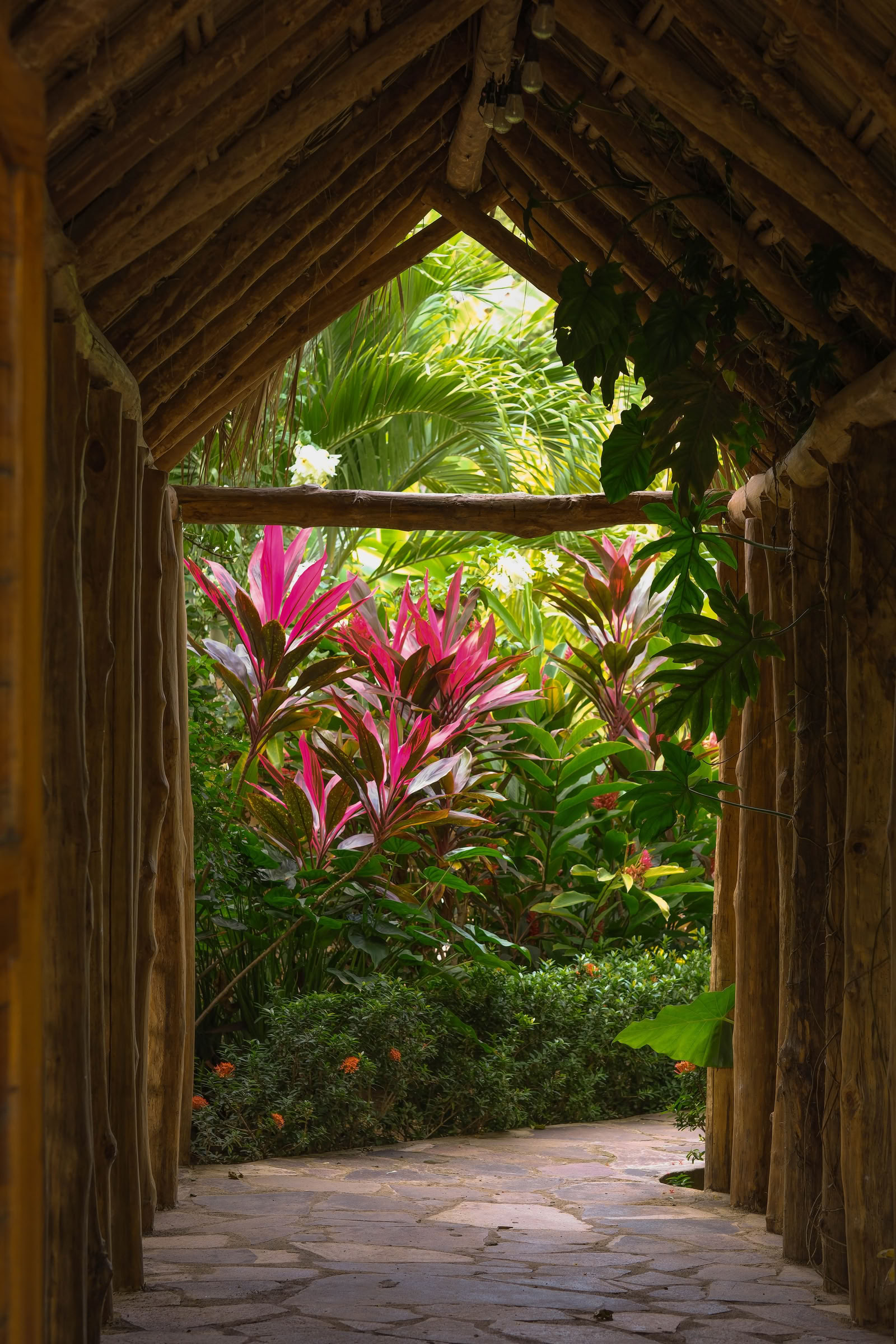 Vild yogaretreat i Nicaragua