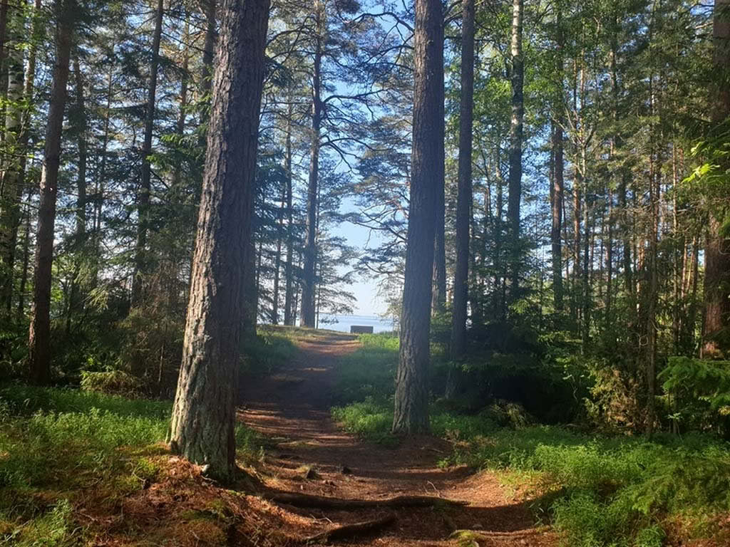 6-dagars terapeutisk konst- och yogaretreat