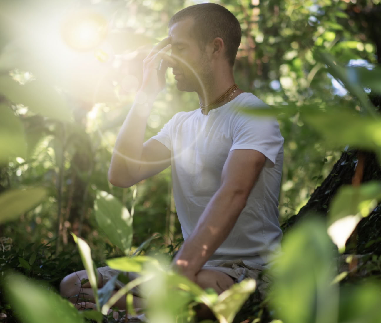 Levande ayurvedaretreat