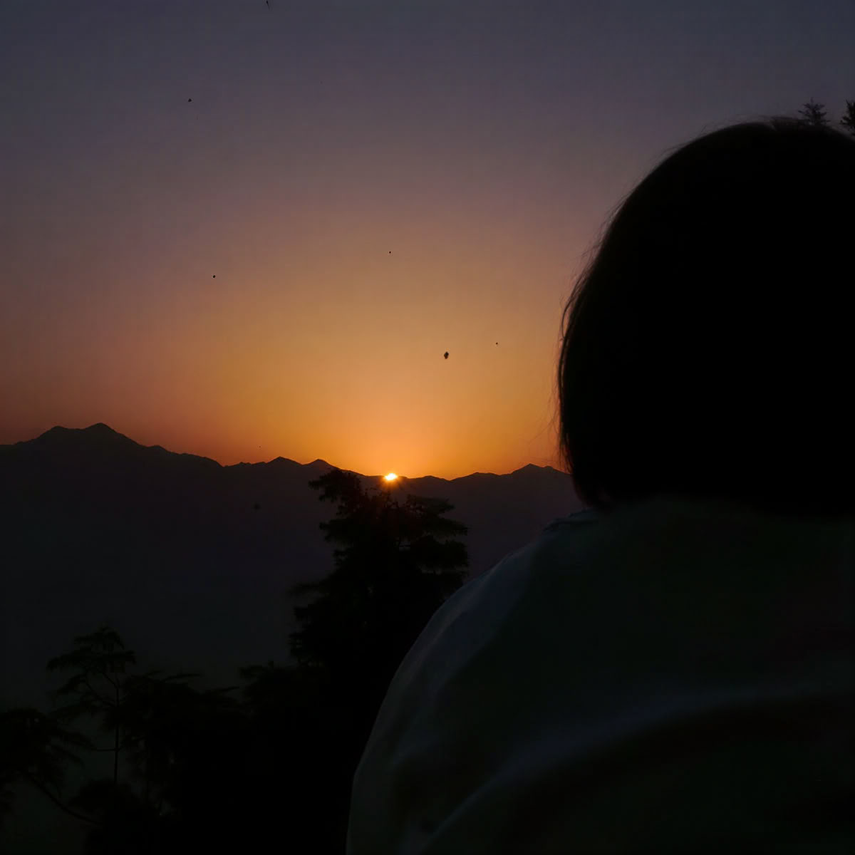 100-timmars yogalärarutbildning i Rishikesh