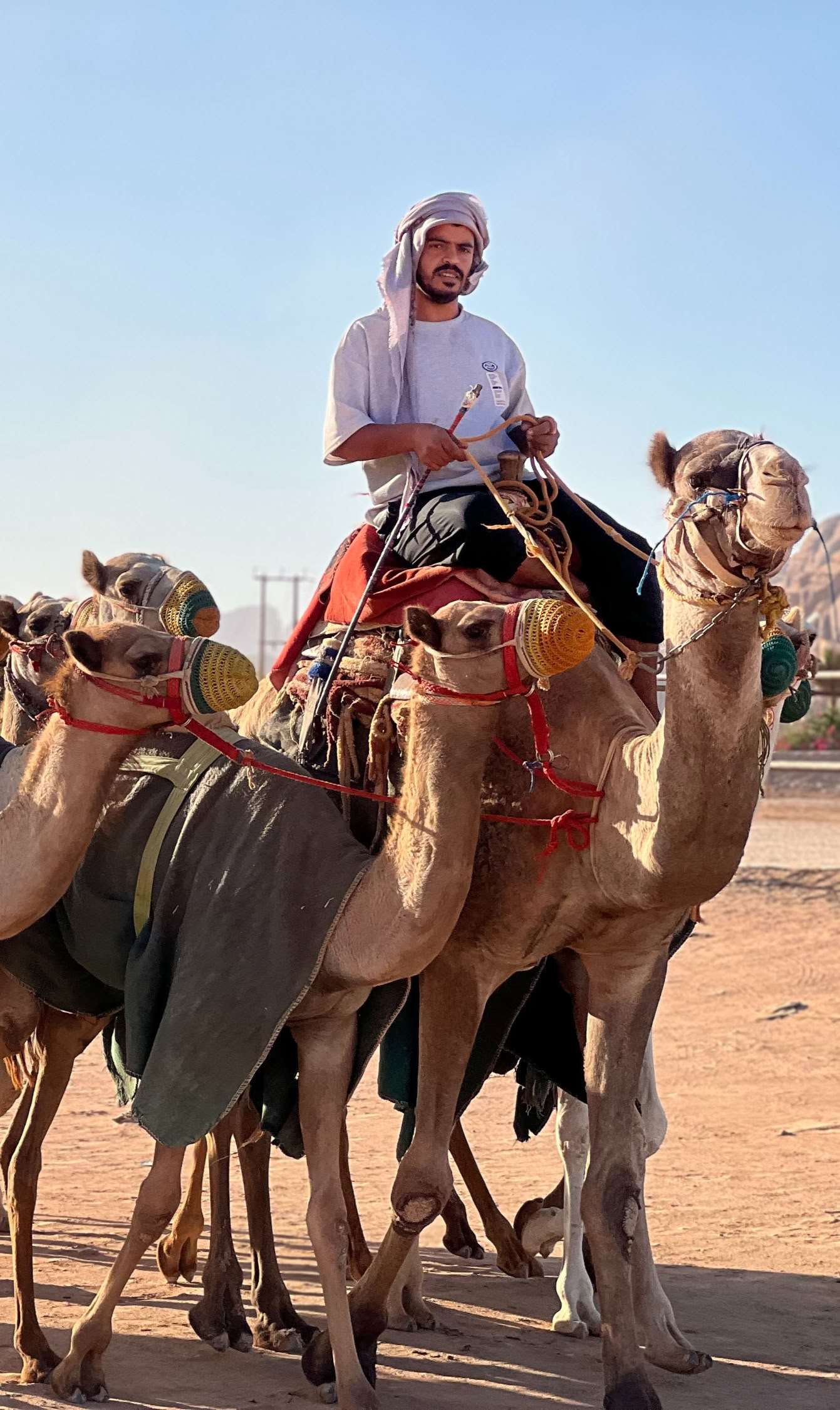 5-dagars vandringstur i Jordanien