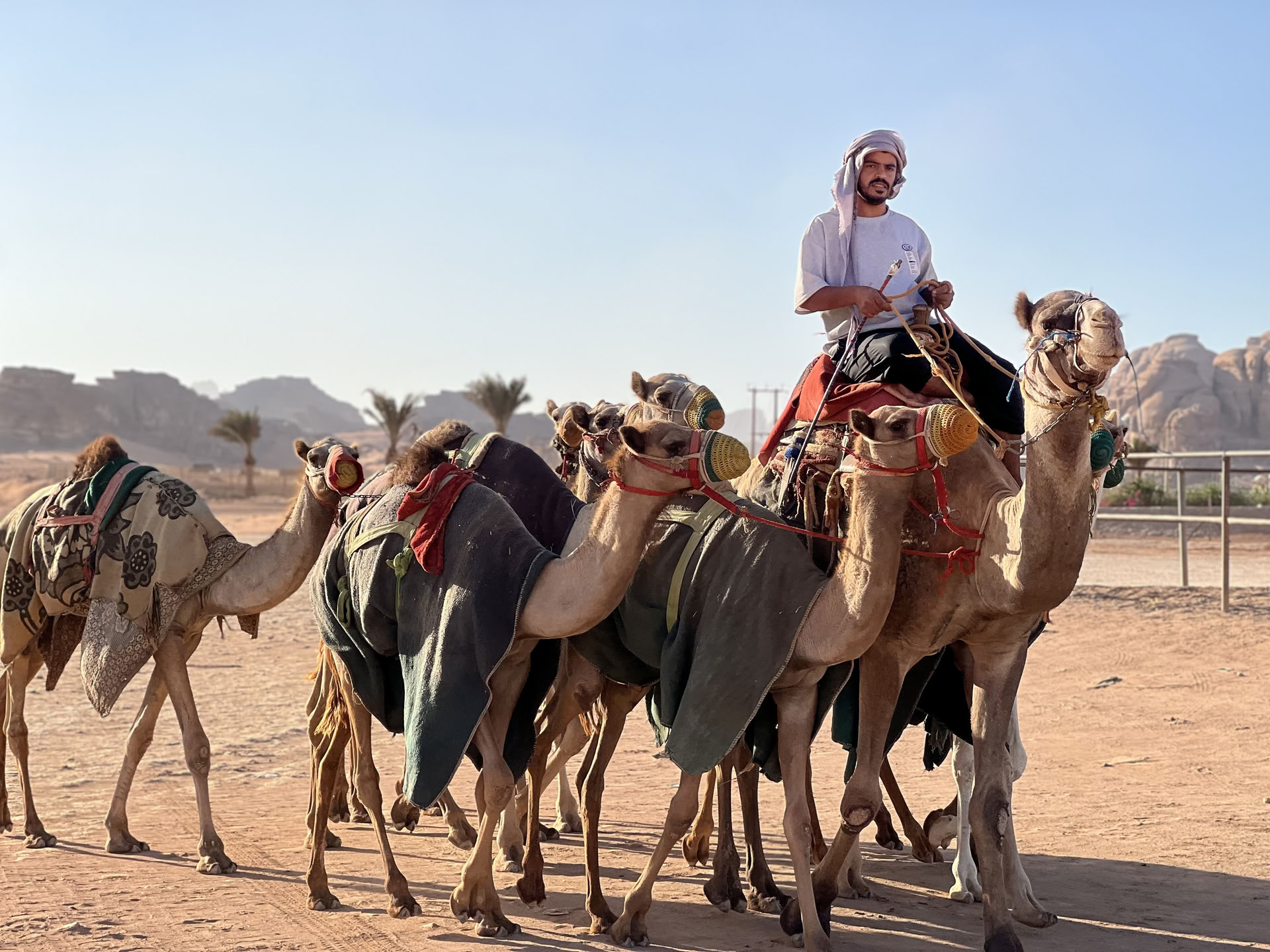 4 dagars kameltrekkingäventyr med beduiner i Wadi Rum, Jordanien