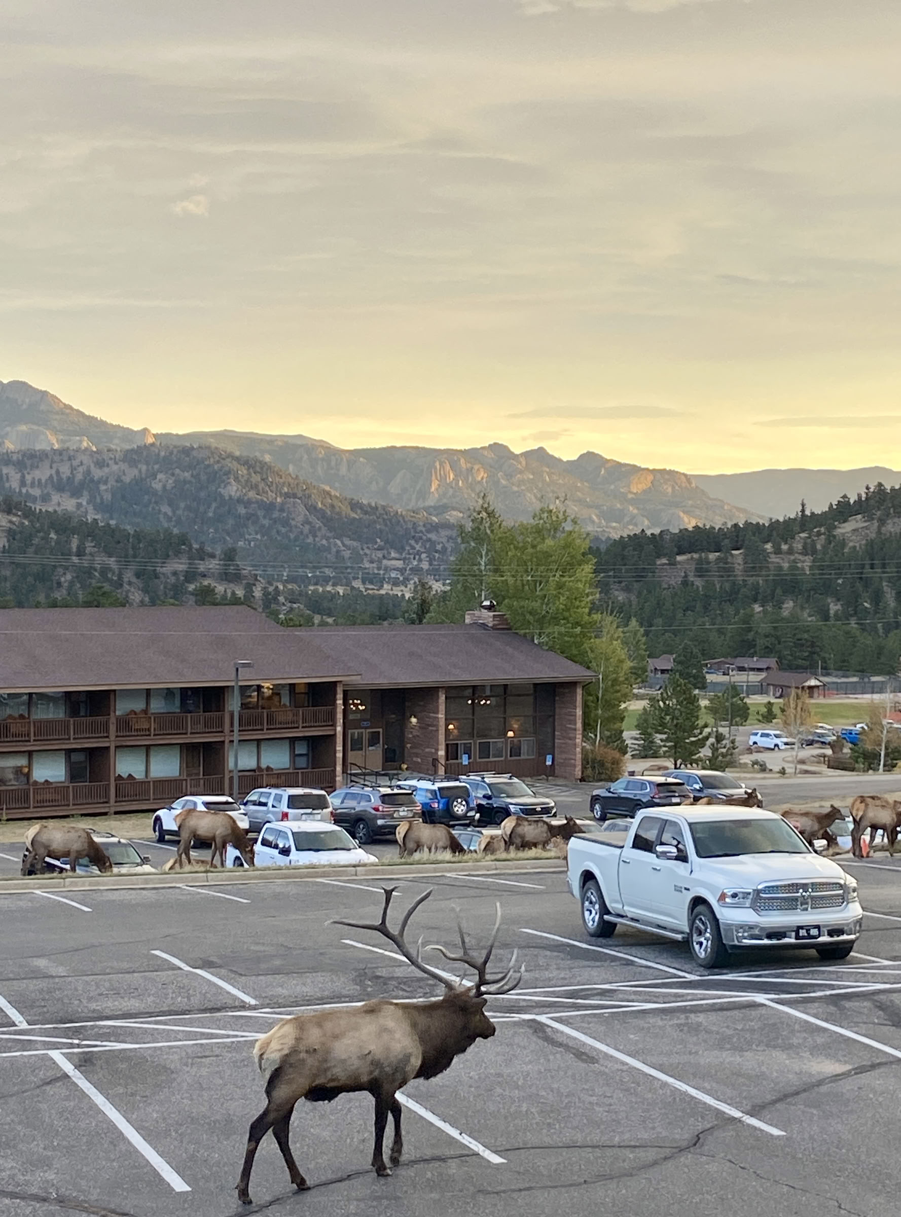 Retreat i Klippiga bergen – 5 dagar